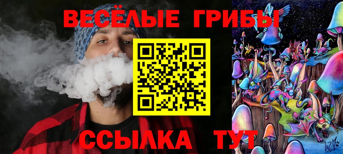 Псилоцибиновые грибы GOLDEN TEACHER Дедовск