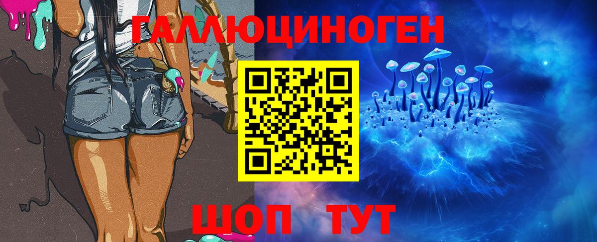 Дедовск  хочу   Псилоцибиновые грибы MAGIC MUSHROOMS  Вход с VPN  Псилоцибиновые грибы прущие грибы 