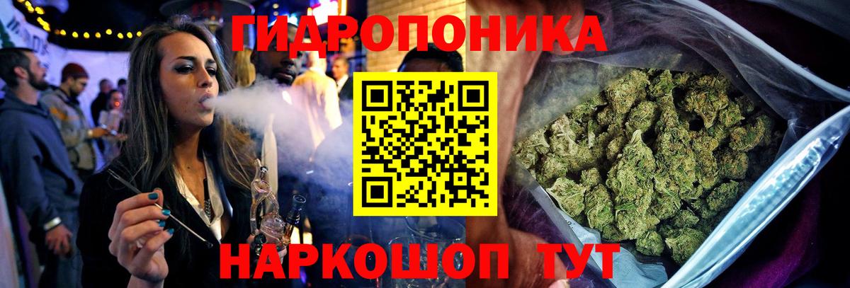 МАРИХУАНА сатива Дедовск